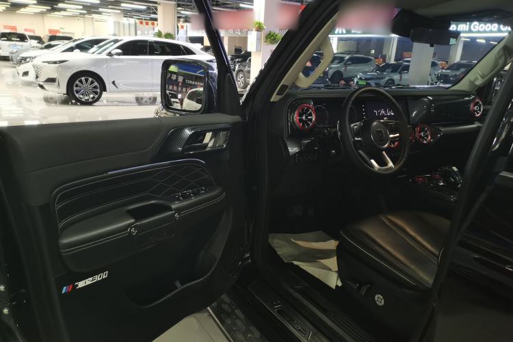 Used Tank 300 2024 2.0T Conqueror
