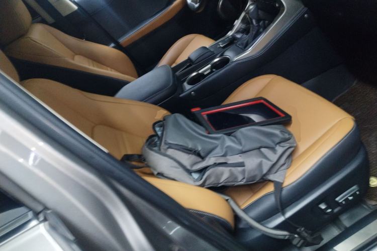 Used Lexus NX 2020 300h Front-Drive FENGSHANG Version China VI Standard