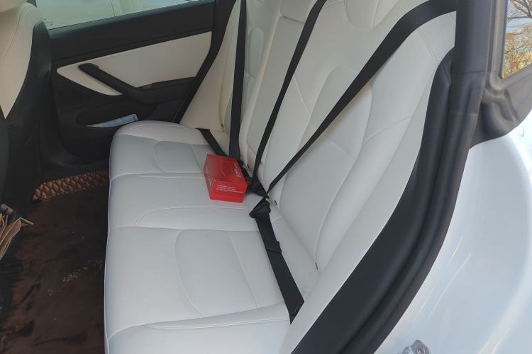 Used Tesla Model 3 2020 Revised Version Standard Range Rear-Wheel Drive – Upgraded Edition