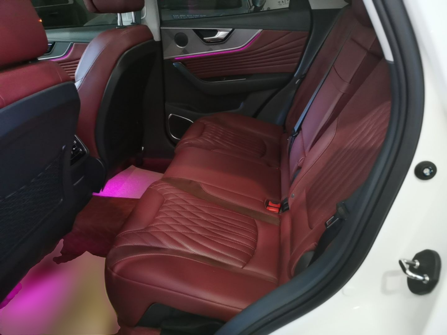 Hongqi HS5 2023 2.0T Qixiang Pro Edition — снимка 20