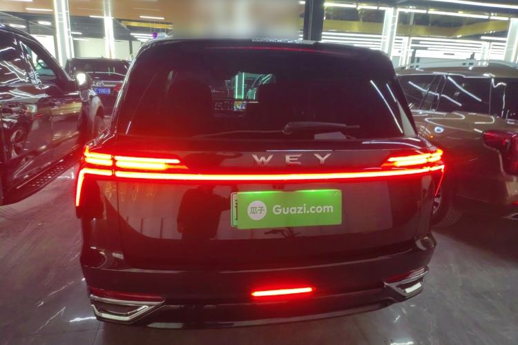 Used Wey Lanshan 2023 Four-Wheel Drive Ultra-Long Range Version Rear