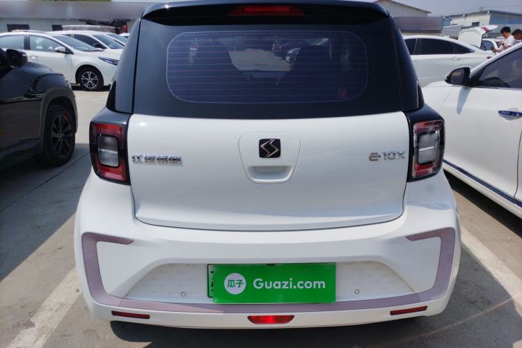 Used SOL E10X 2022 Flower Fairy Design Dandelion