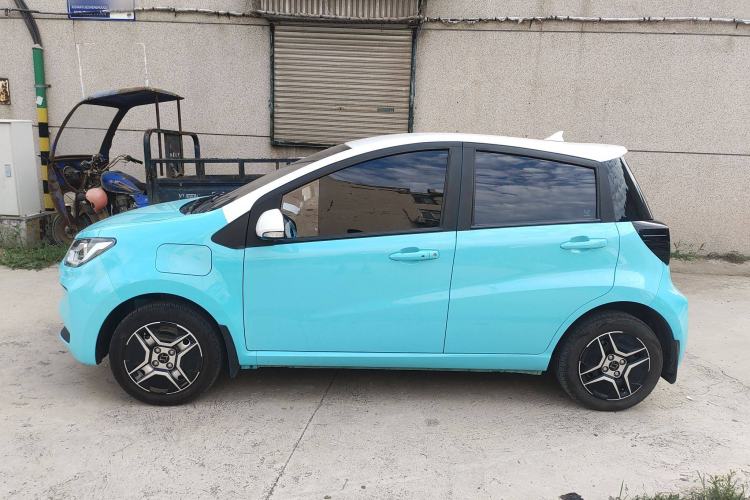 Used SOL E10X 2022 Flower Fairy Design Four-Leaf Clover