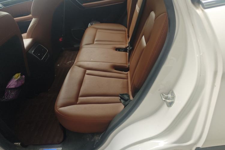 Used Haval H6 Coupe 2015 Blue-Label 2.0T Manual Two-Wheel Drive Prestige Model Left Rear Seat