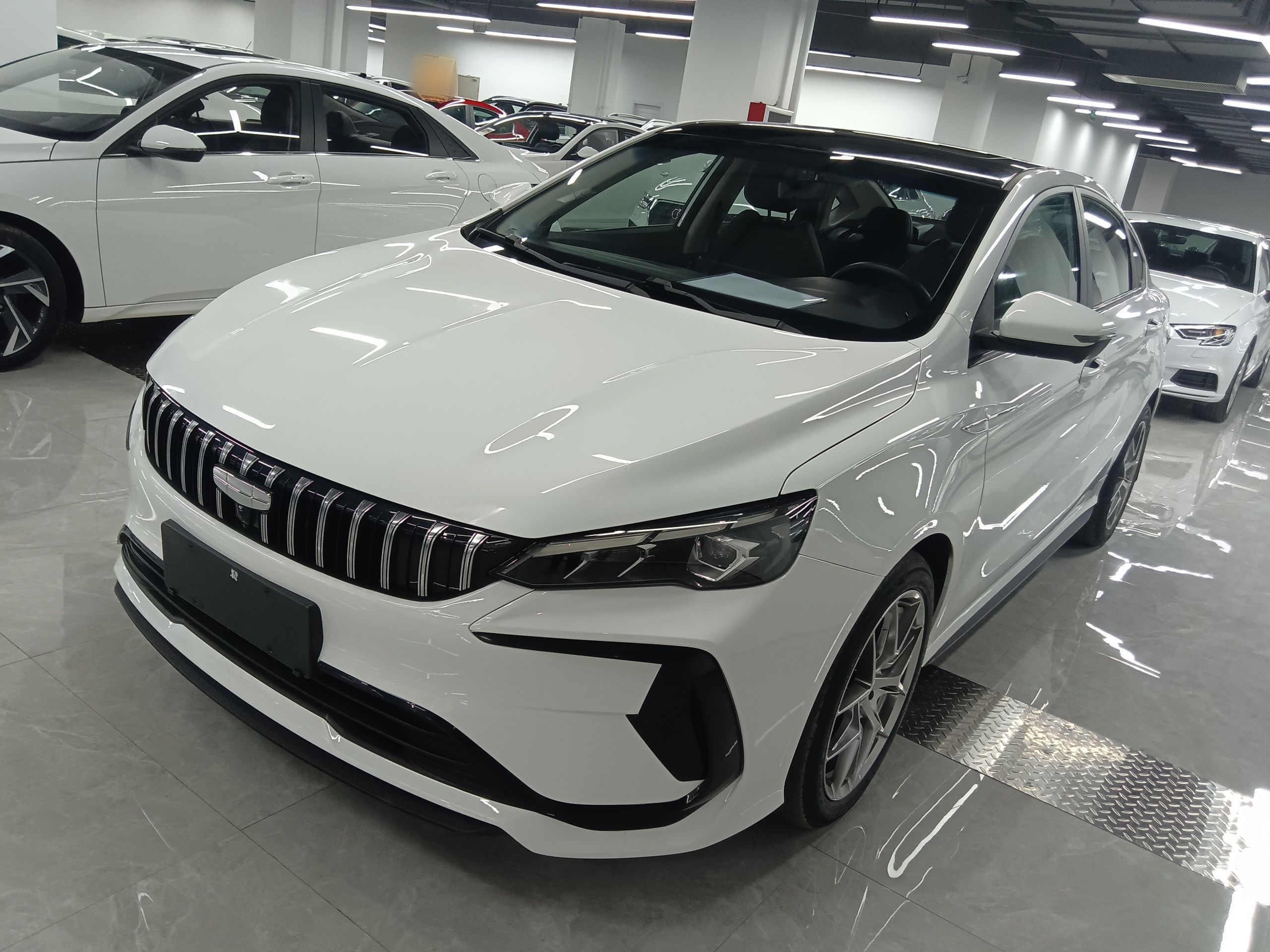 Parte inferior delantera