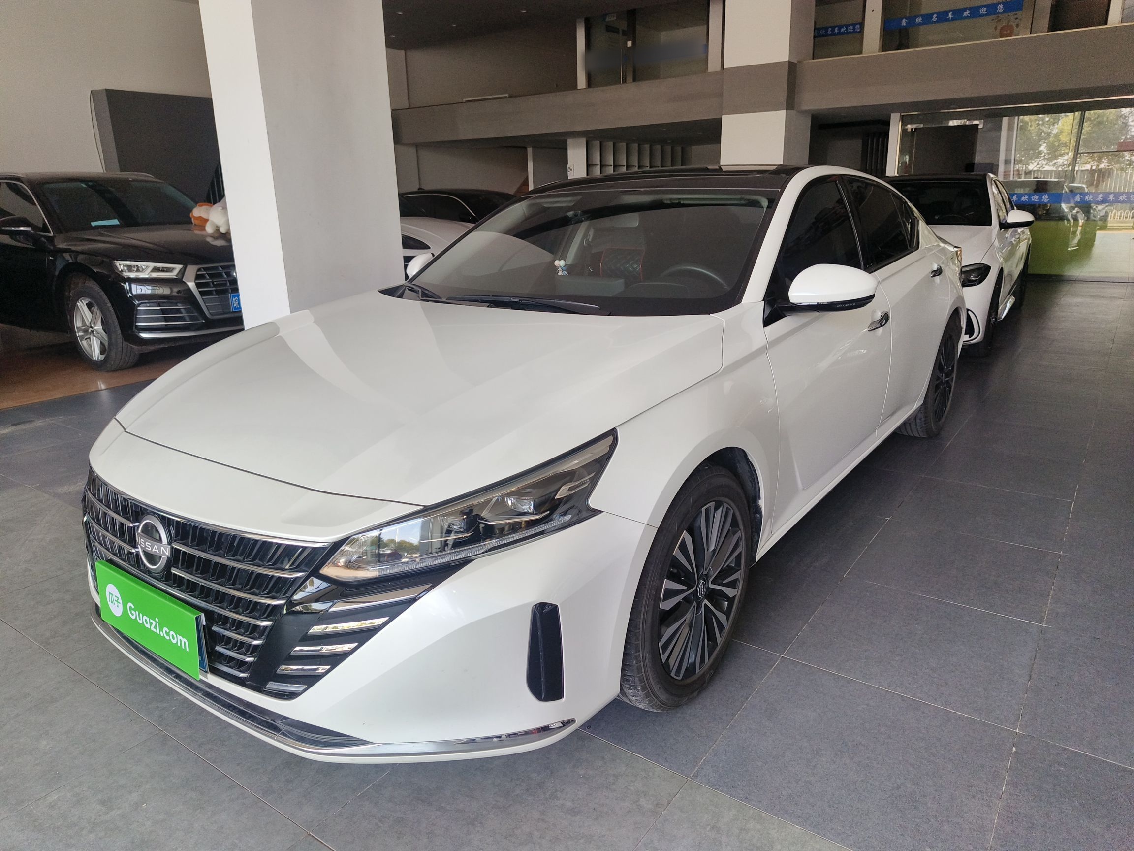 Parte inferior delantera