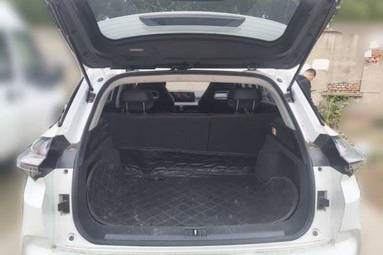 Used NETA U  Trunk