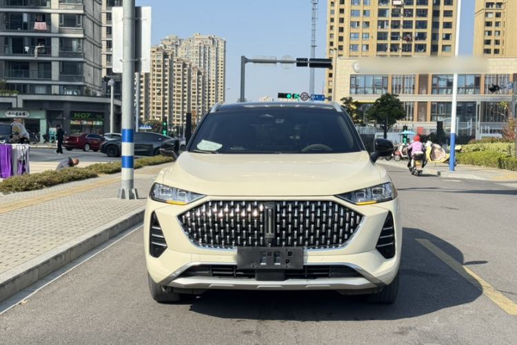 Used Wey Mocha 2021 2.0T Two-Wheel-Drive Premium Edition