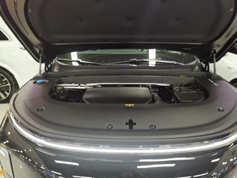 Used Li Auto L6 2024 Max — 19