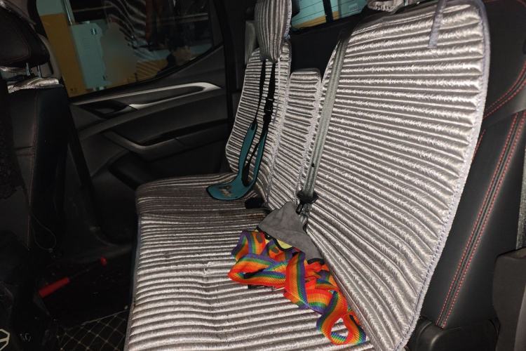 Used SAIC MAXUS T60 2017 2.4L Gasoline Manual Two-Wheel Drive High-Ride Elite Standard Van Left Rear Seat