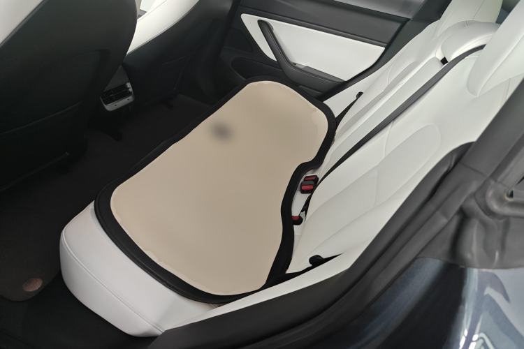 Used Tesla Model 3 2020 Revised Version Standard Range Rear-Wheel Drive – Upgraded Edition
