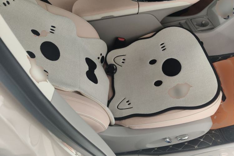 Used ORA Ballet Cat 2023 401 km Luxury Version