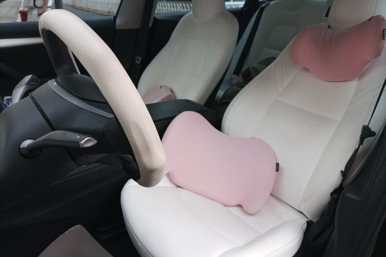 Used Tesla Model 3 2021 Revised Version Standard Range Rear-Wheel Drive Upgraded Edition 3D1