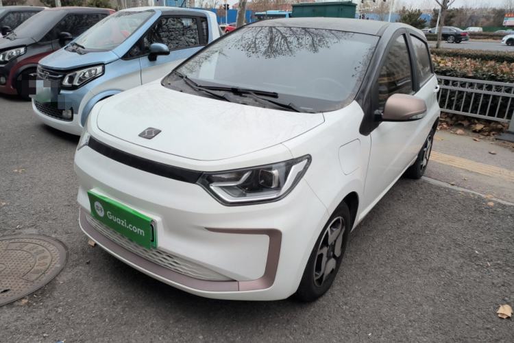 Used SOL E10X 2022 Flower Fairy Style Baby's Breath