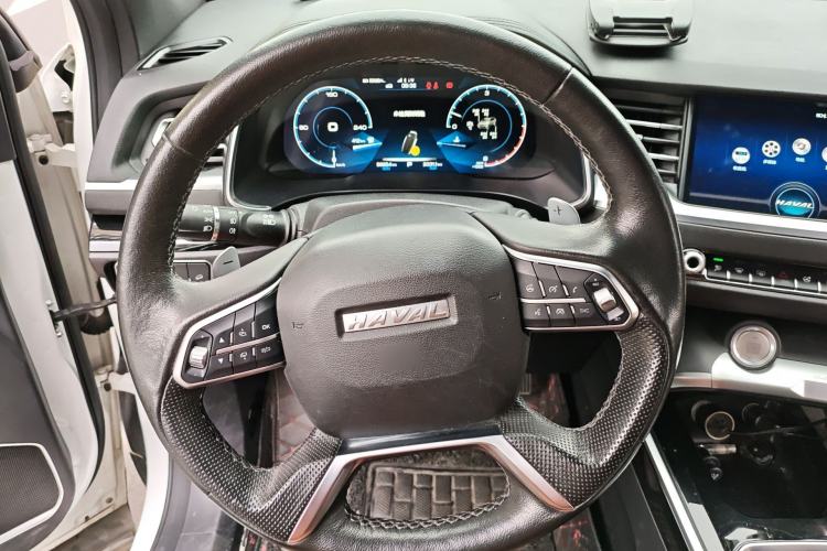 Used Haval H6 2017 Blue Label 2.0T Automatic Two-Wheel Drive Leading Model
