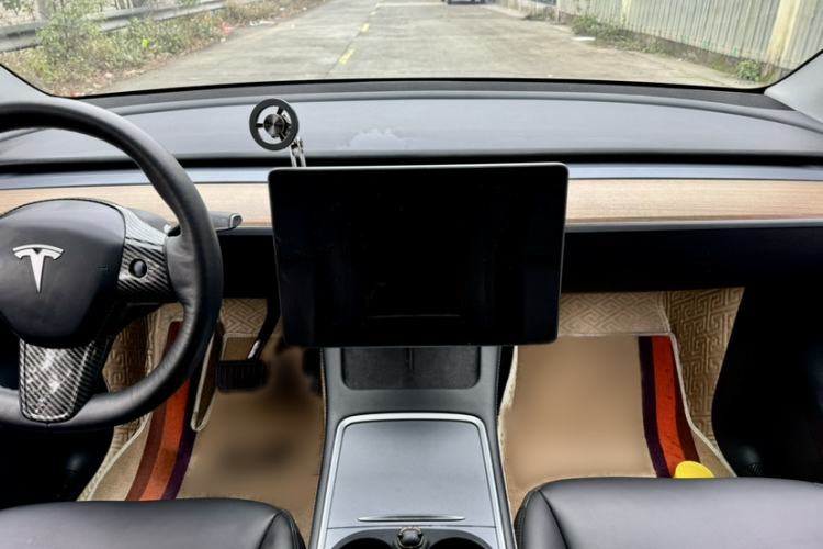 Used Tesla Model Y 2021 Standard Range Rear-Wheel Drive Version
