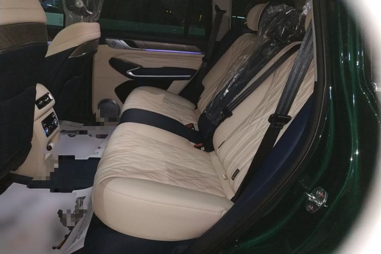 Used Tank 500 New Energy 2026 Model—Hi4-Z Smart Enjoyment Version Left Rear Seat