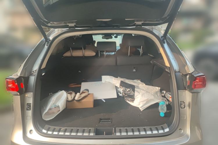 Used Lexus NX 2020 200 All-Wheel Drive Fēngshàng Version China VI Standard
