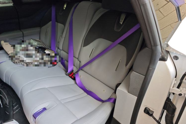 Used HiPhi Z 2023 Five-Seater Version Left Rear Seat