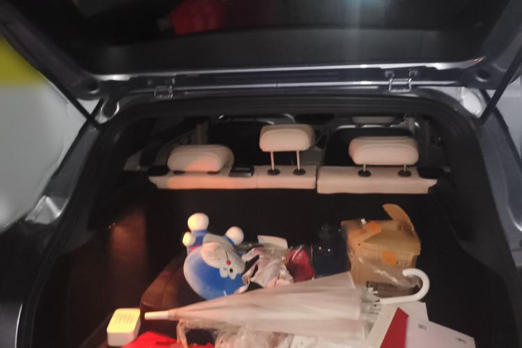 Used Geometry C 2022 550KM Grapefruit Plus
