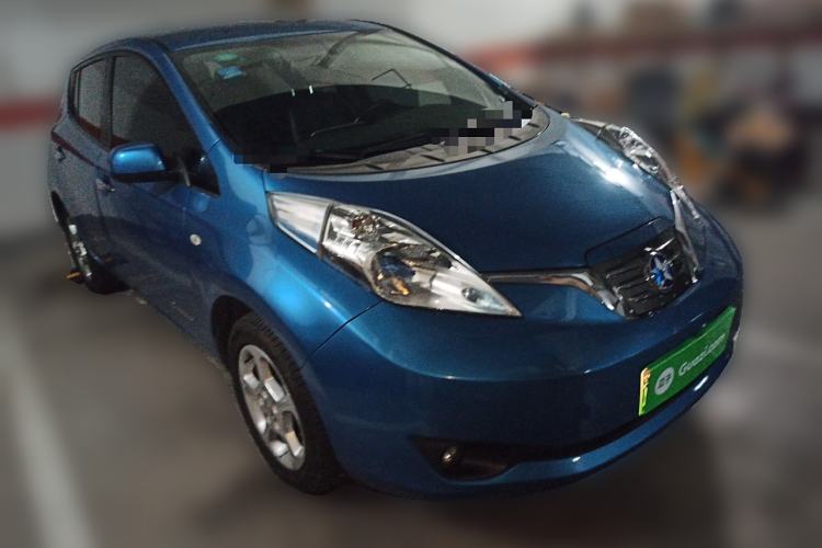 Used Venucia Leaf 2014 Lingfeng Edition 6.6 KW
