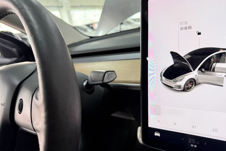 Used Tesla Model 3 2021 Performance High-Performance All-Wheel-Drive Version