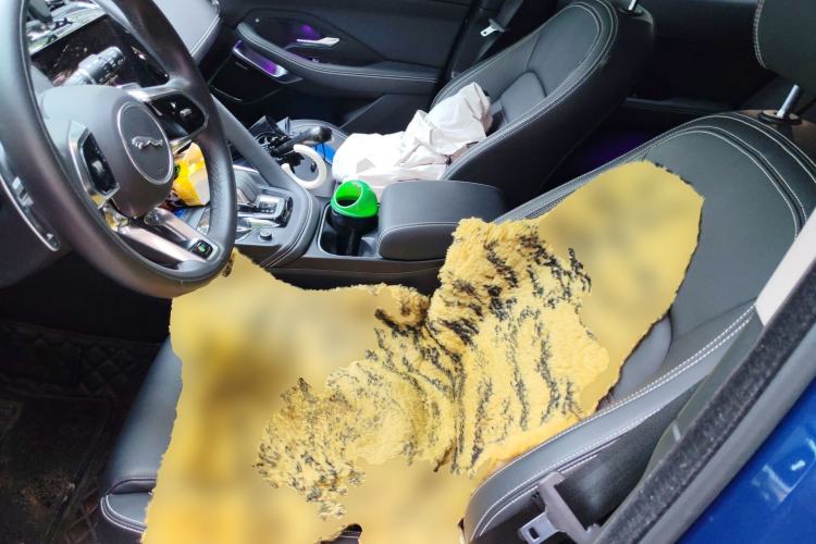 Used Jaguar E-PACE 2024 YAO Black Sport Edition R-DYNAMIC SE BLACK Left Front Seat