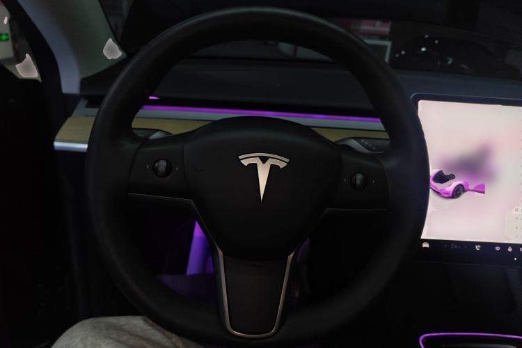 Used Tesla Model Y 2022 Revised Version Rear-Wheel Drive