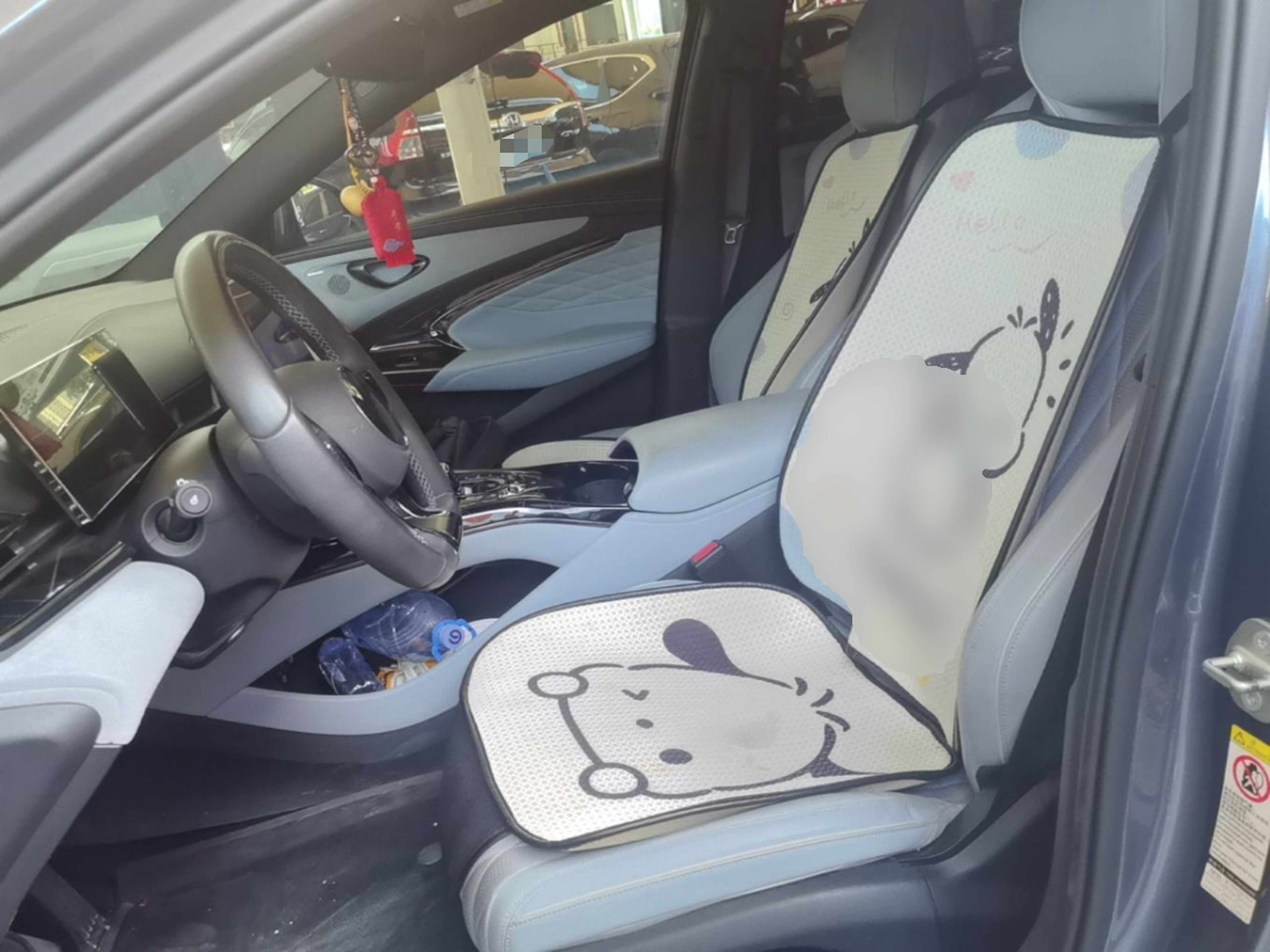 Interior delantero