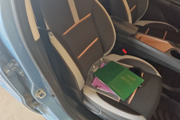 Used SOL E10X 2021 302 km Range Fashion Edition 31.4 kWh