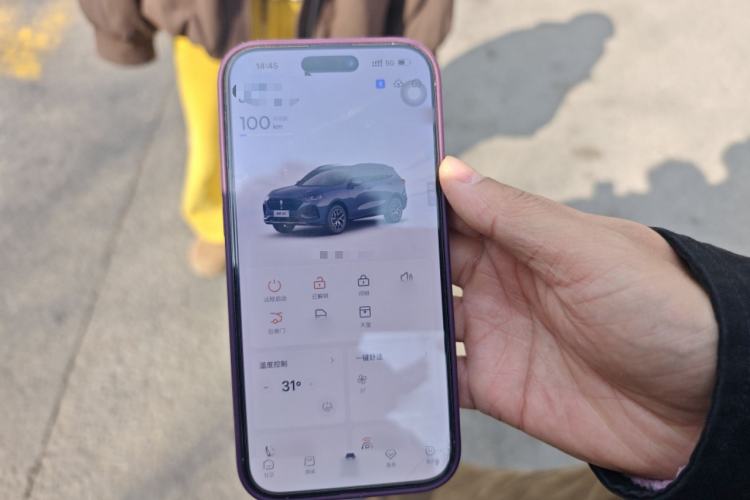 Used Wey Latte DHT 2022 1.5T DHT Extra-Large Cup
