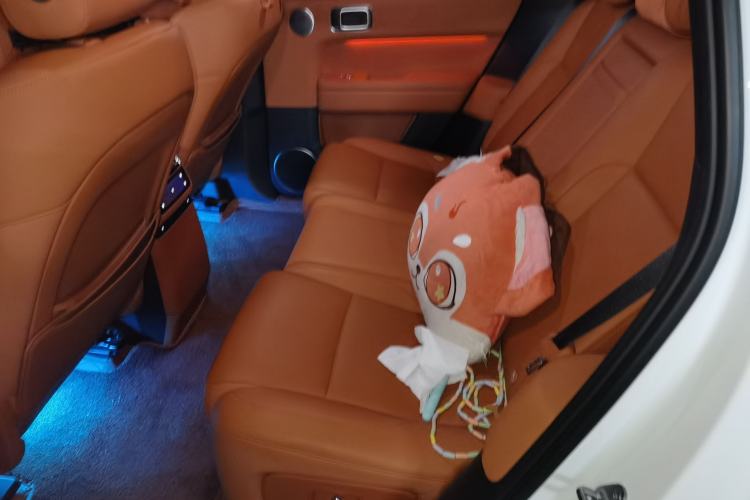 Used Li Auto L6 2024 Max
