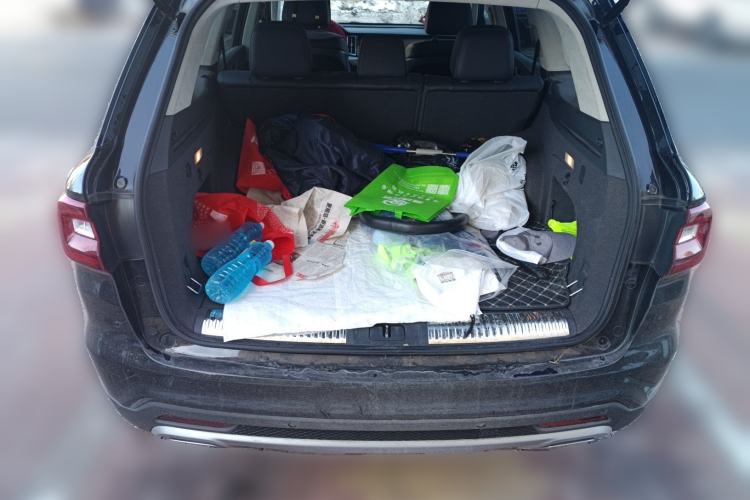 Used Hongqi HS7 2022 2.0T DCT Two-Wheel Drive Smart Connect Flagship Edition Five Seats