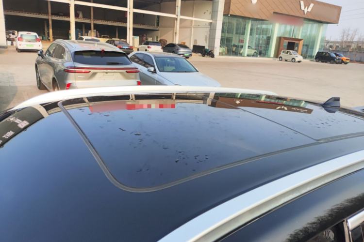 Used Wey Mocha 2021 2.0T Four-Wheel Drive Premium Edition
