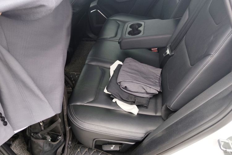 Used BYD Song Pro 2019 1.5T Automatic Luxury Model Left Rear Seat