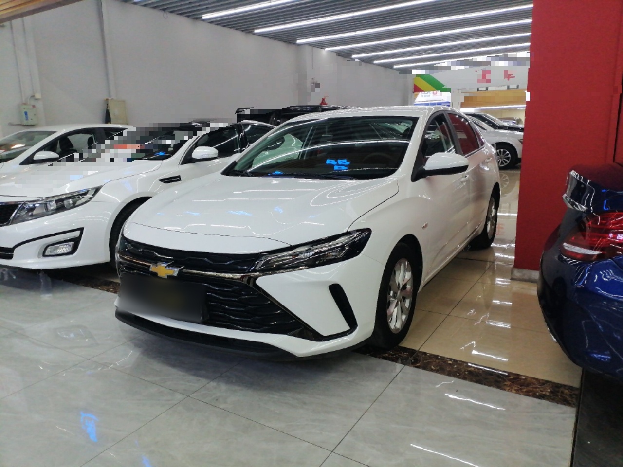 Parte inferior delantera