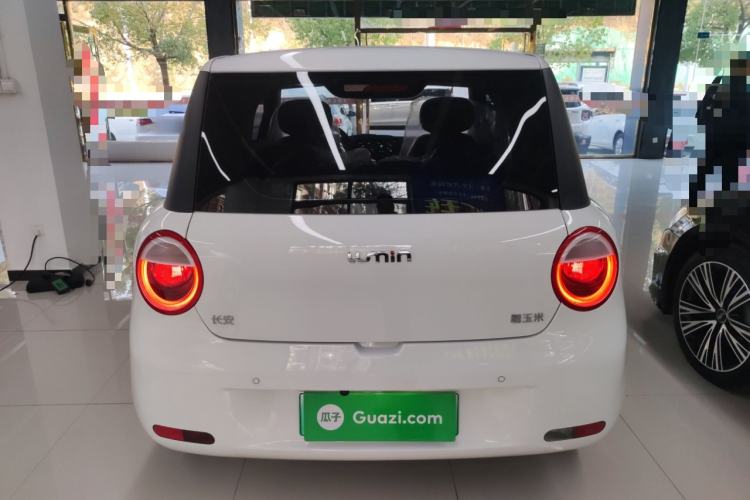 Used Qiyuan Lumin 2025 205 km Xiangqin Version
