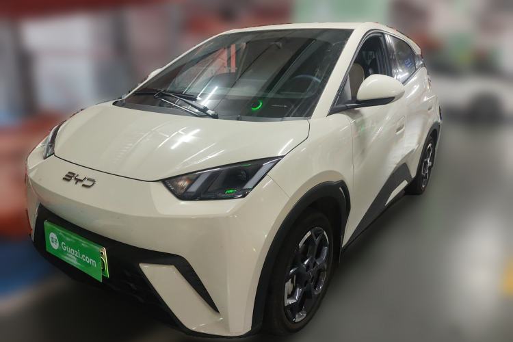 Used BYD Seagull 2025 305 km Free Version