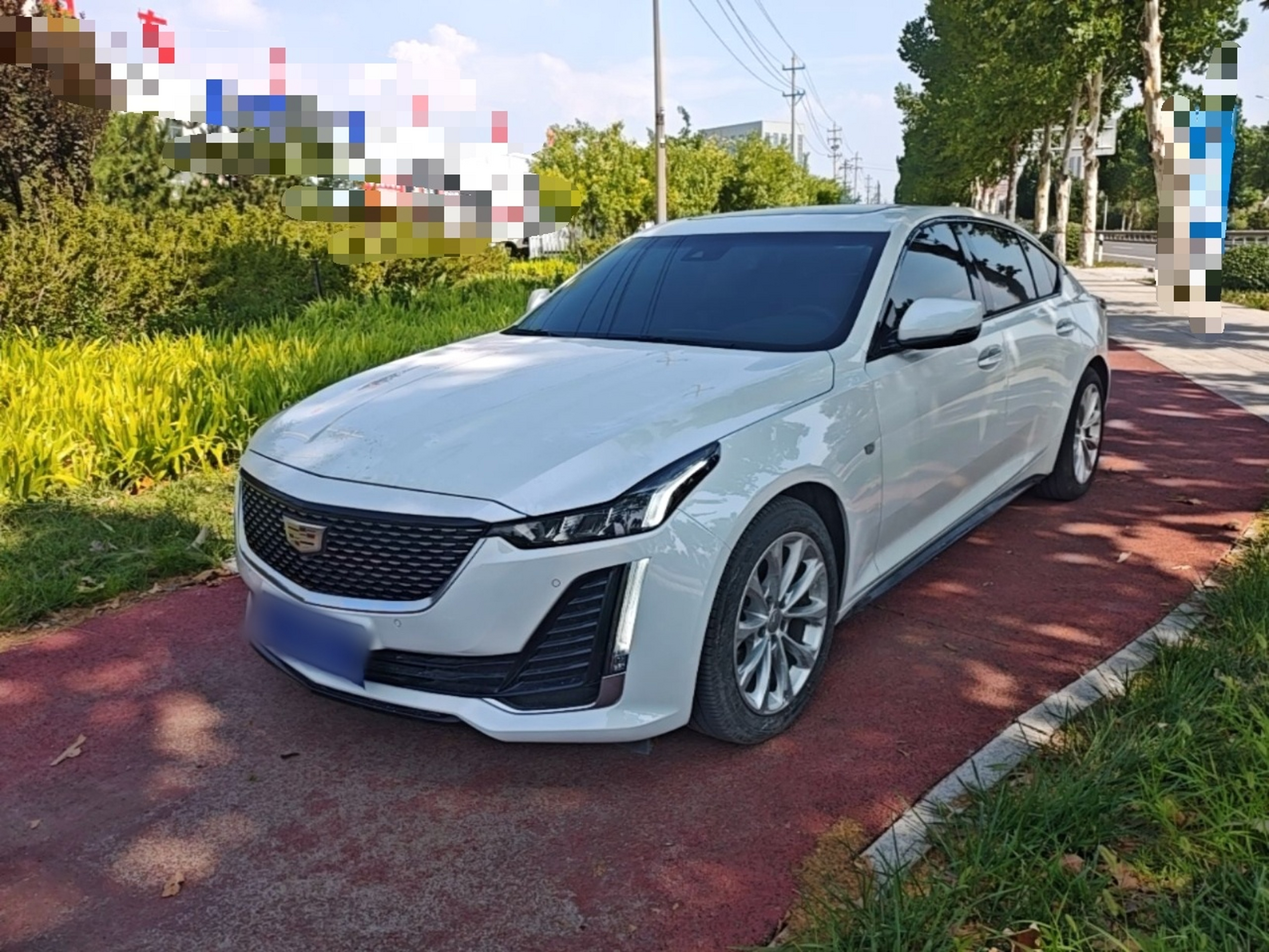 Under Front Bumper