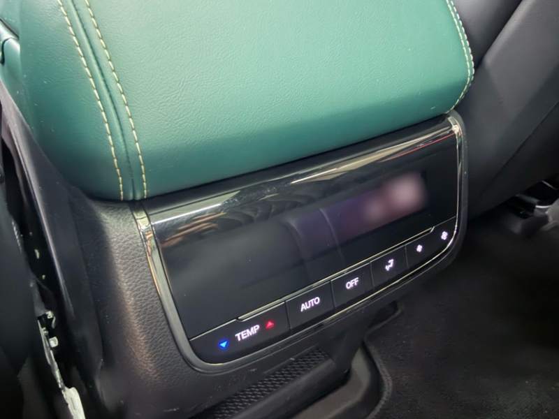 Used GAC Trumpchi GS8 2022 Dual-Engine Series 2.0TM Two-Wheel Drive Prestige Edition (7 Seats) — 39