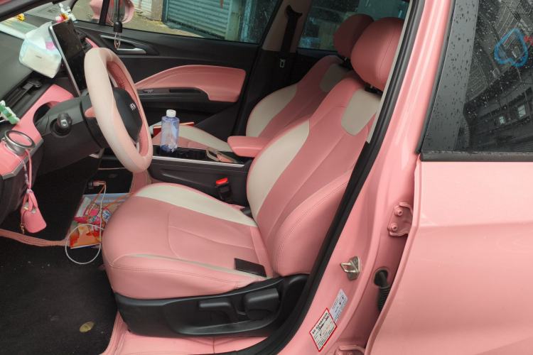 Used NETA V 2021 Witch Edition