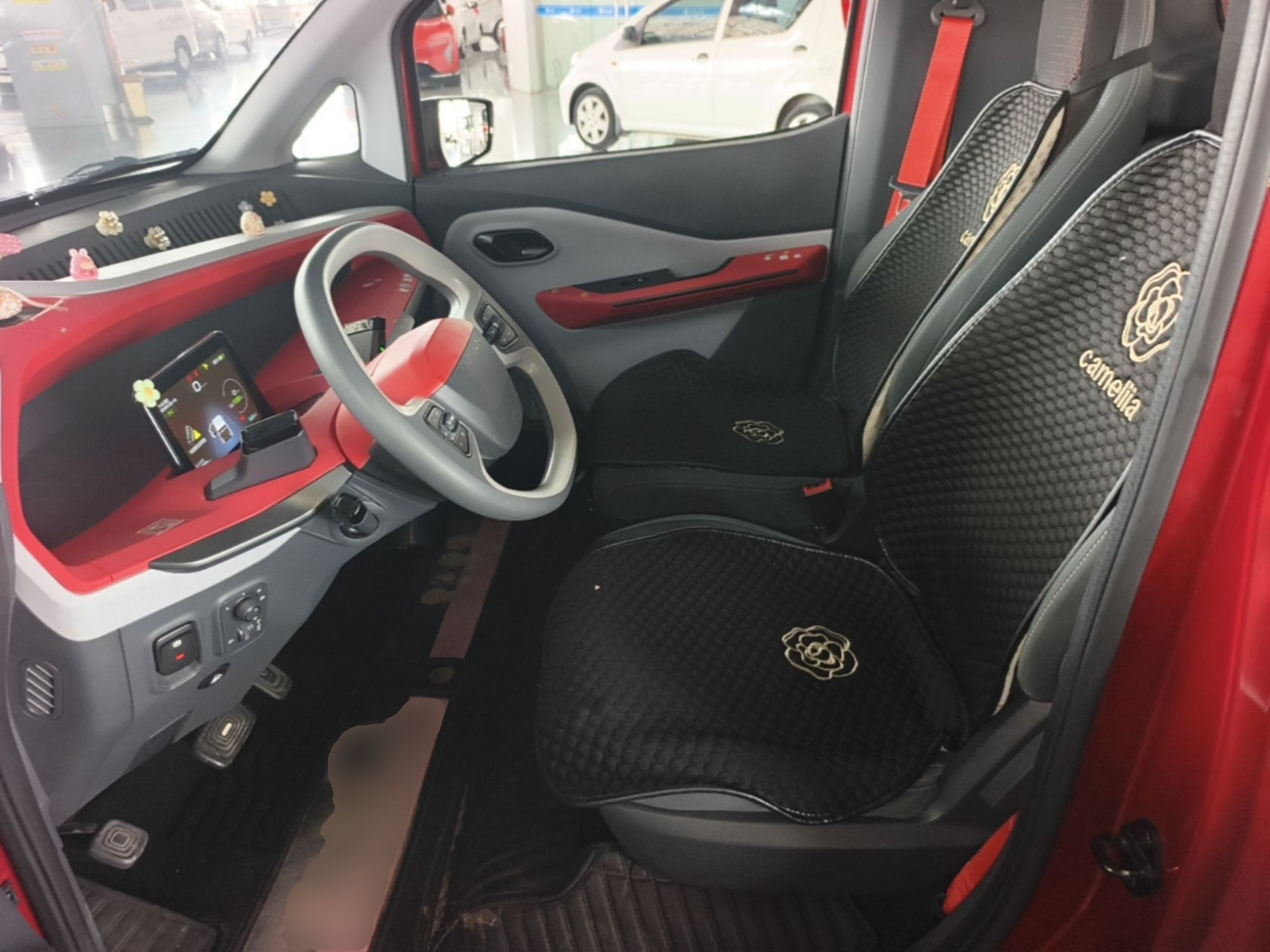 Interior delantero