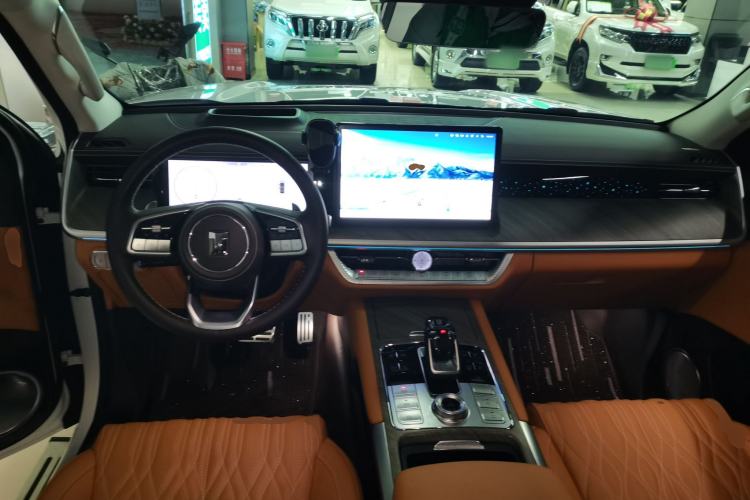 Used Tank 500 New Energy 2024 Hi4-T
