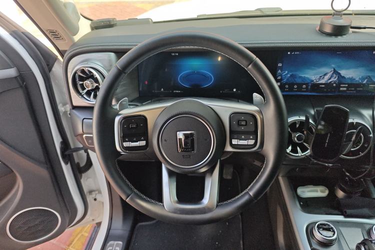 Used Tank 300 2021 City Edition 2.0T—Truly Stylish