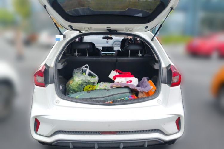 Used Geometry EX3 Kung Fu Cow 2021 Tough Bull Cow Trunk