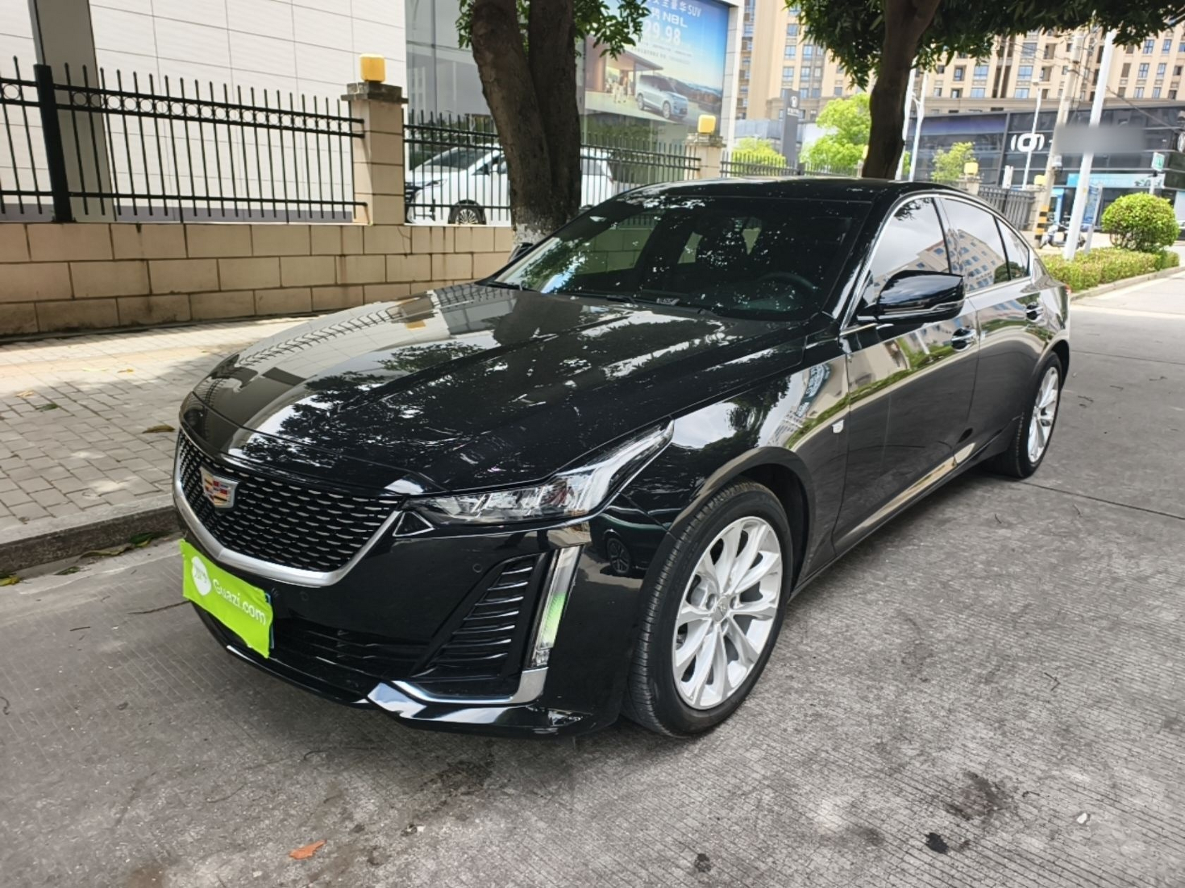 Under Front Bumper