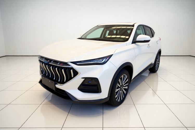 Used CHANGAN OSHAN X5 2021 1.5T DCT Luxury Edition