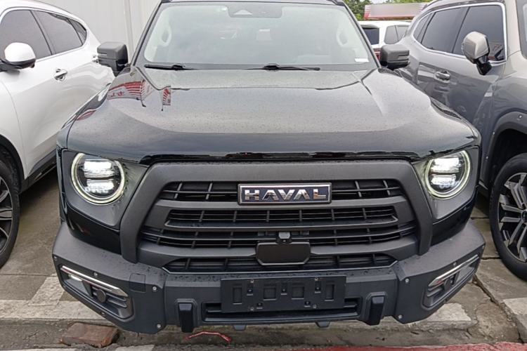 Used Haval DARGO 2024 2.0T DCT Chinese Rural Dog Edition

