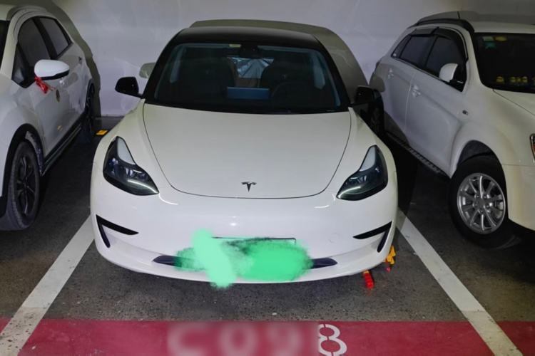 Used Tesla Model 3 2021 Standard Range Rear-Wheel Drive Upgraded Version 3D6
