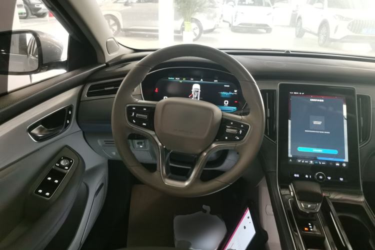 Used Rising ER6 2021 New Dynamic Edition 620km Smart Enjoyment Version
